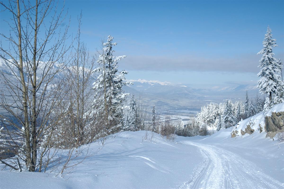 Snowmobiling Is Our Favourite Winter Sport