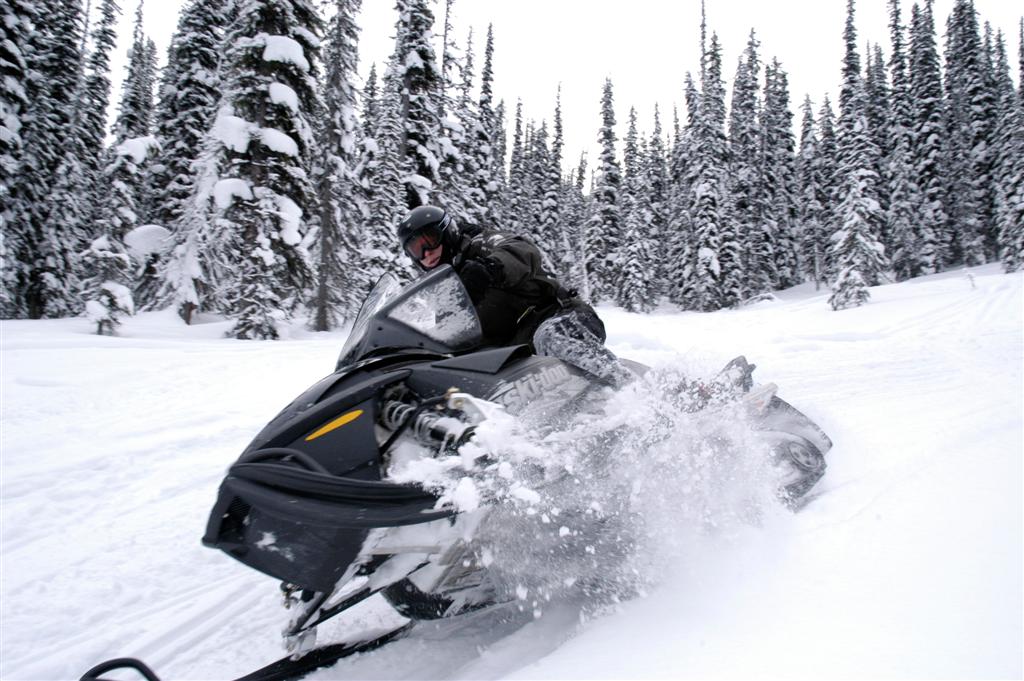 Express Snowmobile Tour