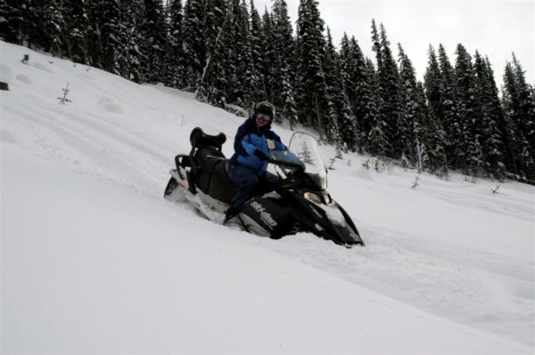 sledding golden bc