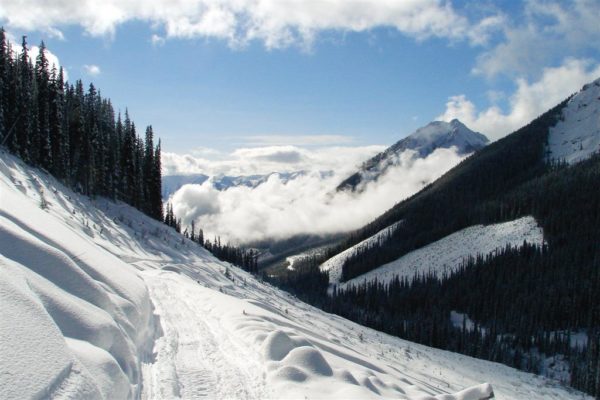 Snowy Valley Golden BC