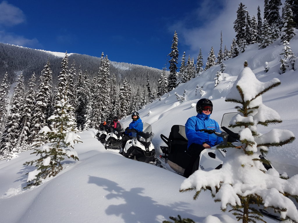 snowmobile tours golden bc