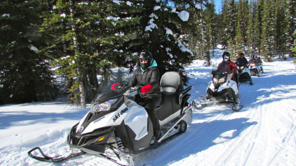 A group on their guided snowmobile tour with White N Wild in Golden BC