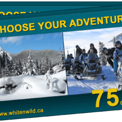 white n wild gift card