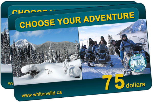 white n wild gift card